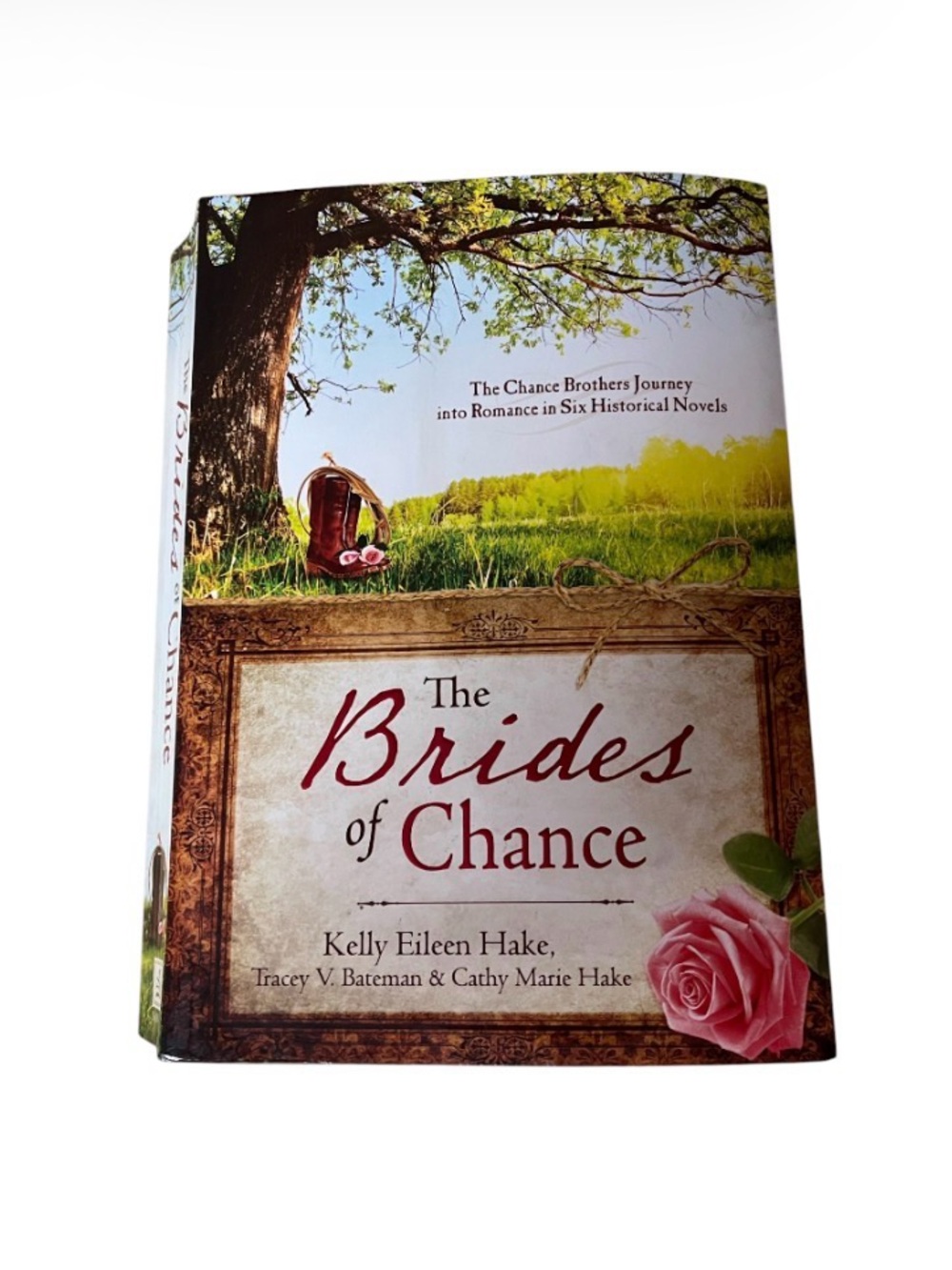 The Brides of Chance Paperback Book